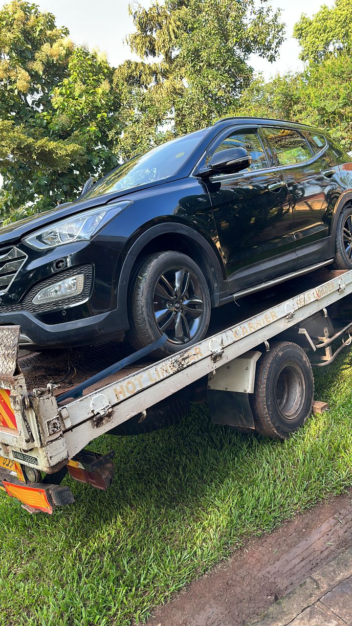 Body work and painting