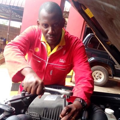 Professional mechanic